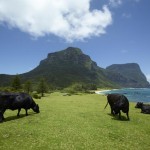 Lord Howe Island, Australia - About Islam