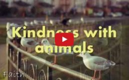Islam And Kindness To Animals