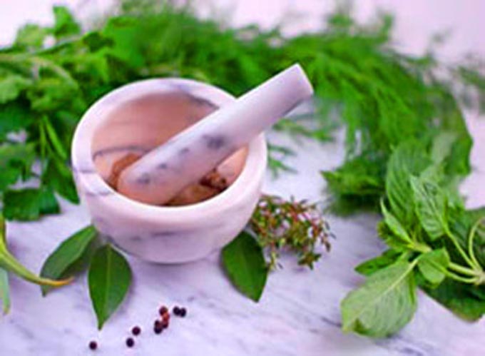 Traditional Medicine Finds Connection with Naturopathic Healing