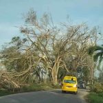 Tropical Cyclone Donna