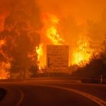 Europe in mourning as forest fires burn dozens to death