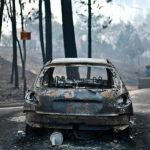 Europe in mourning as forest fires burn dozens to death