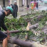 Typhoon Damrey kills dozens in Southeast Asia