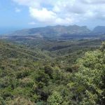 Black River Gorges National Park