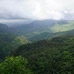 Black River Gorges National Park