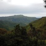 Black River Gorges National Park