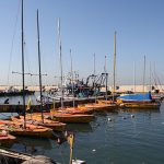 Jaffa, Palestine's Biggest Port