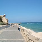 Jaffa, Palestine's Biggest Port