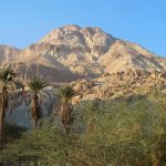 Jerusalem's Judaean Mountains of the Prophets.