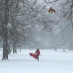 Arctic Storm Blankets Europe