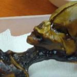 Atacama Desert Mummy Found in to Be Tiny, Mutated Child