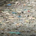 Rubbish Floating on London's Grand Union Canal