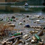 Rubbish Floating on London's Grand Union Canal