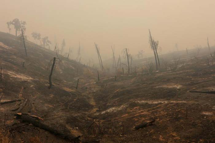 Carr Fire Blaze Grows in California