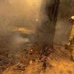 Carr Fire Blaze Grows in California