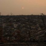 Carr Fire Blaze Grows in California