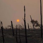 Carr Fire Blaze Grows in California