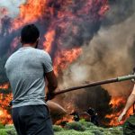 Greek Forests Wildfires