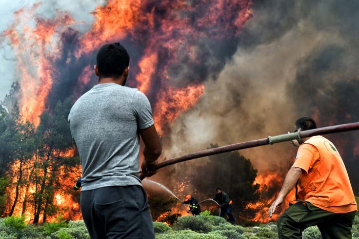 Greek Forests Wildfires