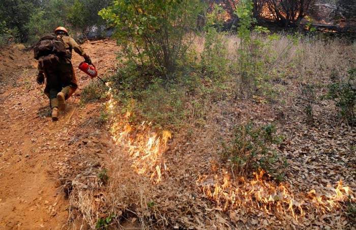 Northern California Wildfires