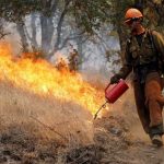 Northern California Wildfires