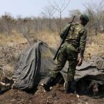 Dozens of Dead Elephants Discovered in Botswana