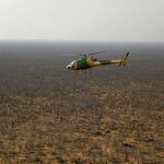 Dozens of Dead Elephants Discovered in Botswana