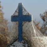 Blanket of Spider Webs in Greece - About Islam