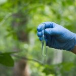 Test Tube Trees An Insurance Policy Against Extinction