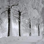 Winter Wonderland - About Islam