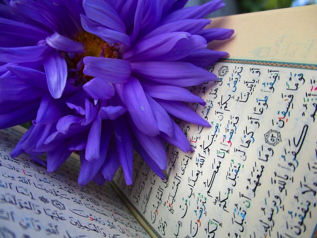 4 Ways to Give Your Brain a New Quran Habit