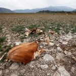 Chile's Aculeo Lagoon Dries Up for the First Time in 2,000 Years