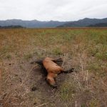 Chile's Aculeo Lagoon Dries Up for the First Time in 2,000 Years