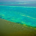 Floodwaters Threaten Australia's Great Barrier Reef - About Islam