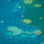 Floodwaters Threaten Australia's Great Barrier Reef - About Islam