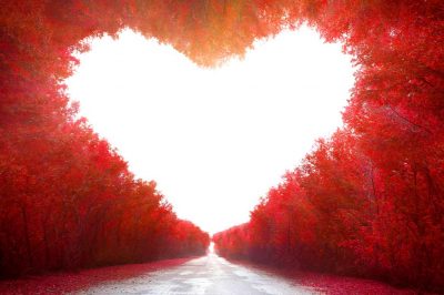 Lessons From Valentine’s Day: 6 Loves to Focus on