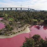 Check Melbourne's Naturally Pink Lake - About Islam