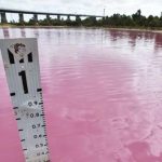 Check Melbourne's Naturally Pink Lake - About Islam