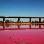 Check Melbourne's Naturally Pink Lake - About Islam