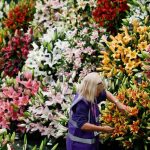Chelsea Flower Show - About Islam