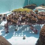 Coral Farms to Save our Natural Reefs - About Islam