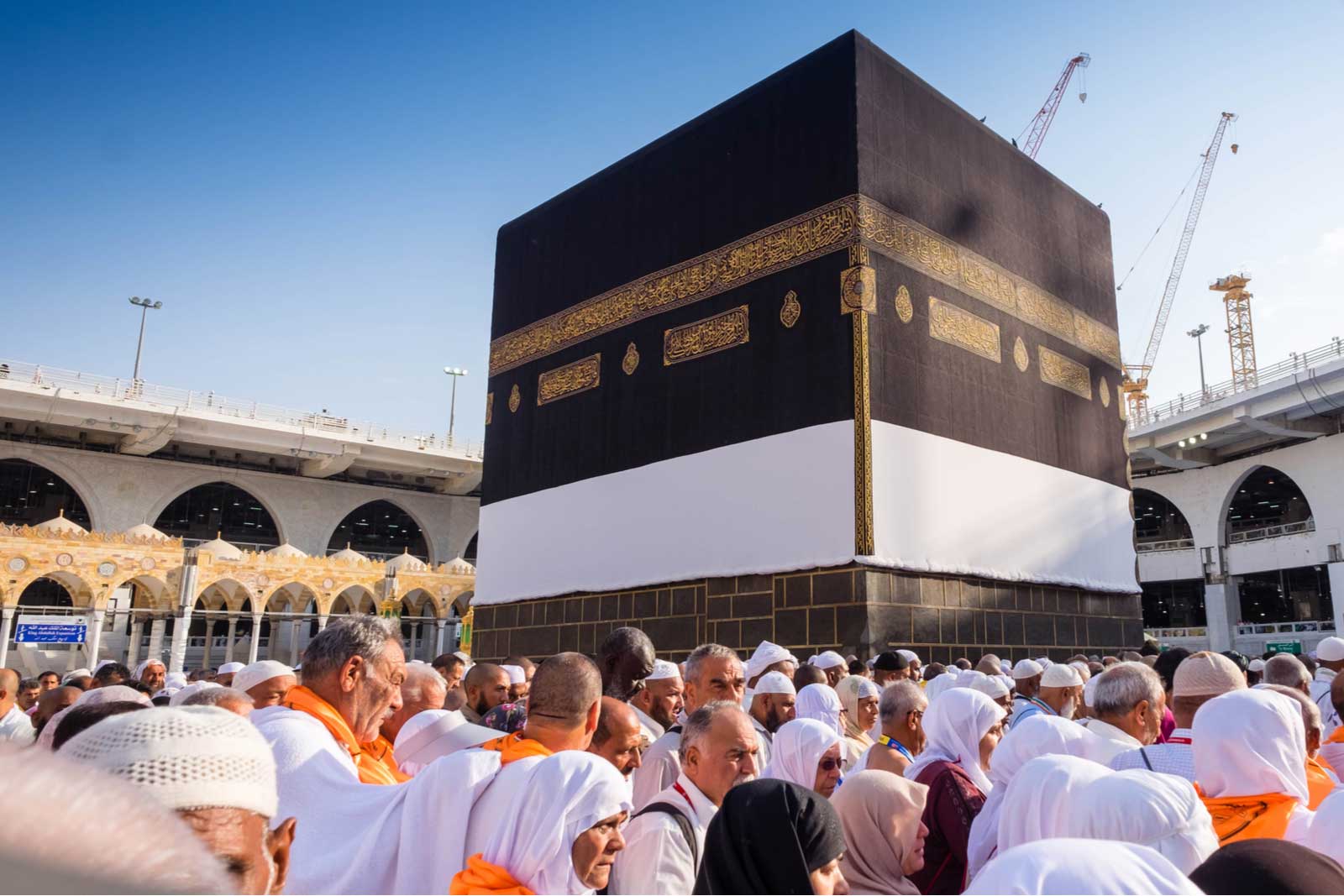 Is Going to Hajj Without Mahram Permissible for Aged Women?