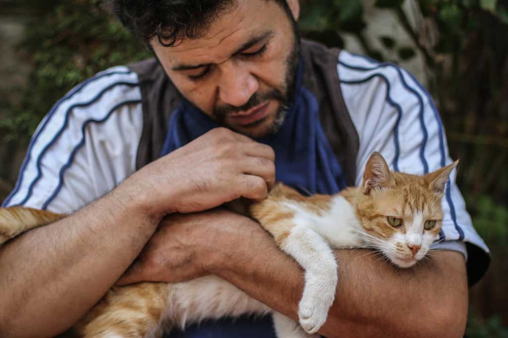 The Cat Man of Aleppo