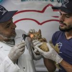 The Cat Man of Aleppo