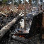 Wildfires Rage Across the Amazon