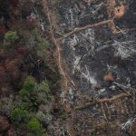 Wildfires Rage Across the Amazon