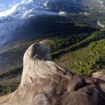 Eagle Eye View of the Alps - About Islam